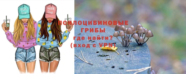 крисы Кинешма