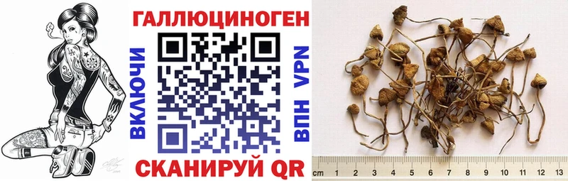 где продают   Когалым  Галлюциногенные грибы мухоморы 