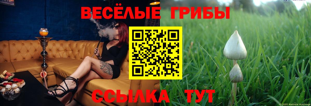 Псилоцибиновые грибы ЛСД  Вход с VPN  Когалым  Псилоцибиновые грибы GOLDEN TEACHER 